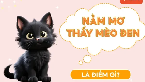 Điềm Báo Loài Mèo Là Gì? Giải Mã Ý Nghĩa Tâm Linh Và Phong Thủy Chính Xác