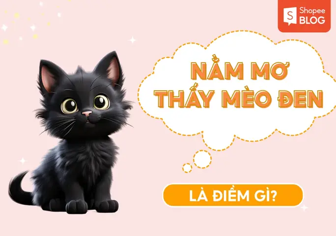 Điềm Báo Loài Mèo Là Gì? Giải Mã Ý Nghĩa Tâm Linh Và Phong Thủy Chính Xác