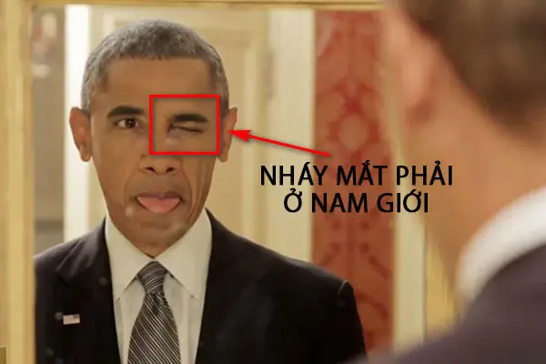 Mắt Phải Giật Ngày Hợi Là Điềm Lành Hay Dữ? Mắt Phải Giật Ngày Hợi Là Điềm Lành Hay Dữ?