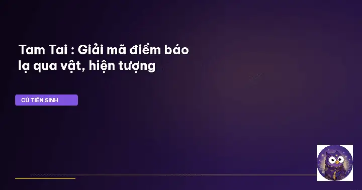 Động Vật Lạ Chạy Vào Nhà Hoặc Chim Bồ Câu, Dơi Ghé Thăm Động Vật Lạ Chạy Vào Nhà Hoặc Chim Bồ Câu, Dơi Ghé Thăm