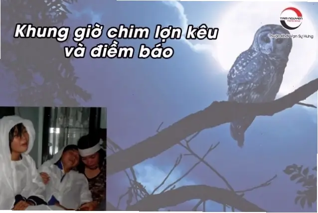 Phân Tích Chi Tiết Ý Nghĩa Tâm Linh Và Thời Điểm Nhạy Cảm Khi Nghe Tiếng Mèo Kêu Vào Phân Tích Chi Tiết Ý Nghĩa Tâm Linh Và Thời Điểm Nhạy Cảm Khi Nghe Tiếng Mèo Kêu Vào