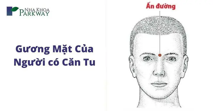 Giải Mã Ý Nghĩa Giấc Mơ Gãy Răng Chảy Máu Theo Vị Trí Răng Cụ Thể Giải Mã Ý Nghĩa Giấc Mơ Gãy Răng Chảy Máu Theo Vị Trí Răng Cụ Thể