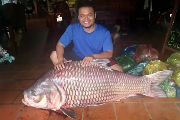 Mơ Thấy Kéo Lưới Bắt Cá Là Điềm Gợi Nhắc Gì? Giải Mã Chi Tiết Các Tình Huống Và Con Số May Mắn