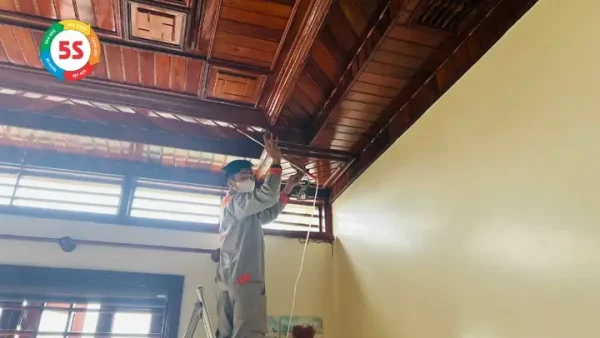 Nhà Bị Mối Xông Là Điềm Tốt Hay Xấu? Giải Mã Ý Nghĩa Phong Thủy Chi Tiết