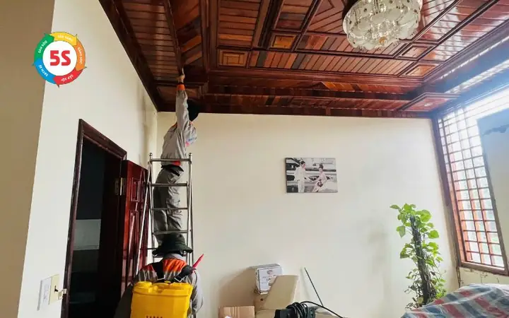 Các Phương Pháp Tiêu Diệt Và Ngăn Ngừa Mối Hiệu Quả Hiện Nay Các Phương Pháp Tiêu Diệt Và Ngăn Ngừa Mối Hiệu Quả Hiện Nay