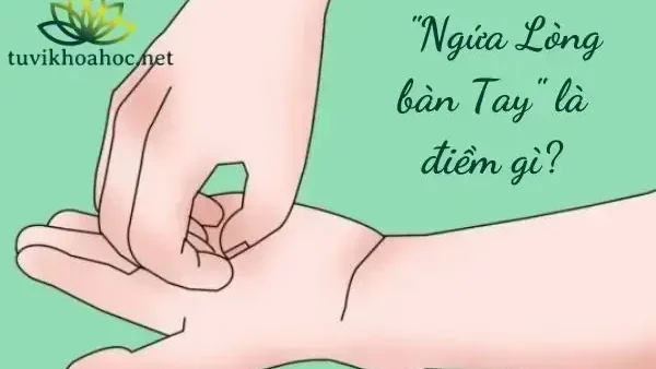Ngứa Tay Phải Là Điềm Gì? Giải Mã Chi Tiết Vận May Rủi Theo Phong Thủy Và Y Học