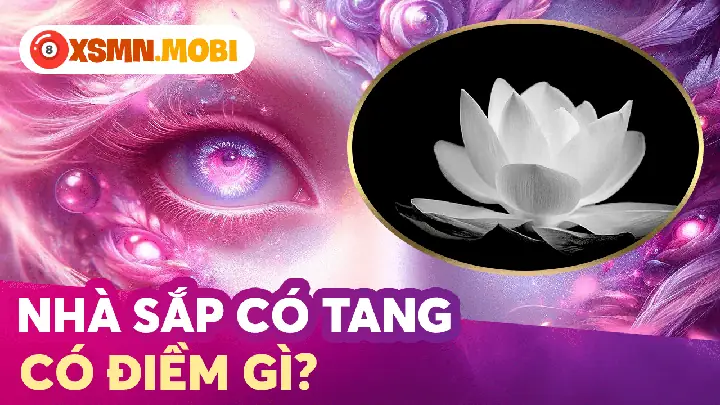 Làm Sao Để Chuyển Hóa Nỗi Đau Và Kết Nối Tâm Linh Lành Mạnh Với Người Đã Khuất?