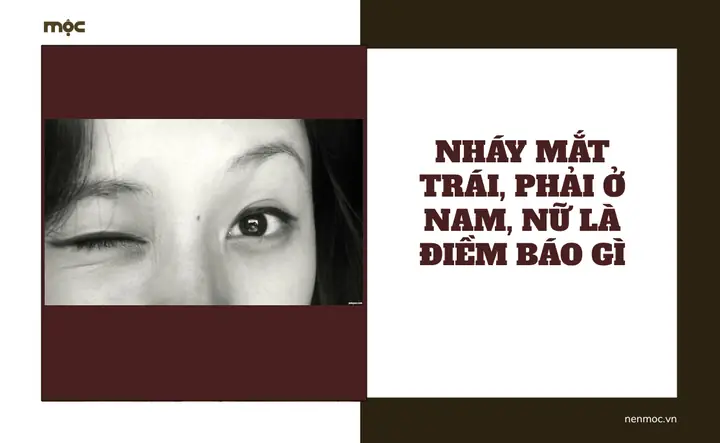 Hiện Tượng Nháy Mắt Trái Ở Nam Giới Là Gì Và Mang Ý Nghĩa Gì Theo Quan Niệm Dân Gian? Hiện Tượng Nháy Mắt Trái Ở Nam Giới Là Gì Và Mang Ý Nghĩa Gì Theo Quan Niệm Dân Gian?