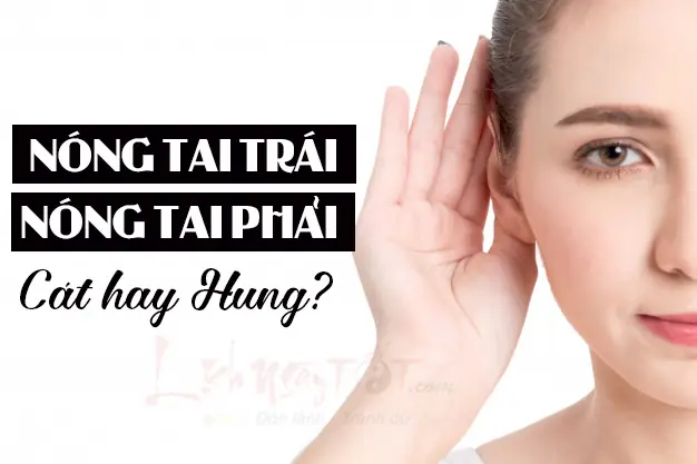 Giải Mã Hiện Tượng Nóng Tai: Điềm Báo Tai Trái, Tai Phải Theo Giờ Và Góc Nhìn Khoa Học Giải Mã Hiện Tượng Nóng Tai: Điềm Báo Tai Trái, Tai Phải Theo Giờ Và Góc Nhìn Khoa Học