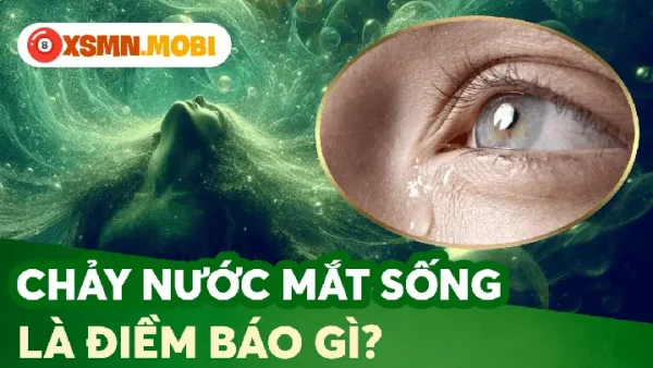 Giải Mã Điềm Báo Nước Chảy Trong Phong Thủy: Tốt Hay Xấu Cho Gia Chủ?