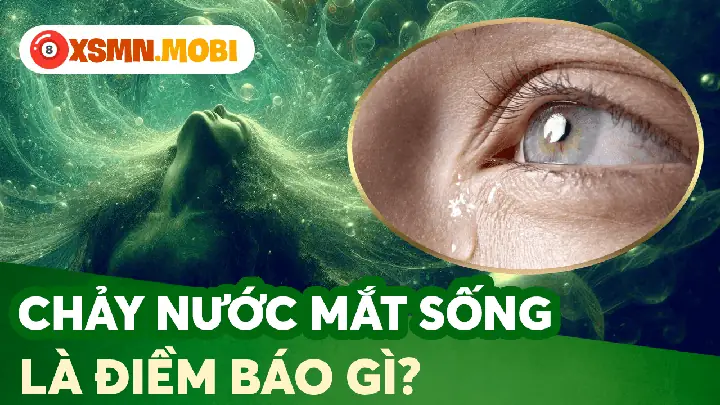 Nước Chảy Vào Nhà Hoặc Tụ Lại Là Điềm Lành Hay Dữ? Nước Chảy Vào Nhà Hoặc Tụ Lại Là Điềm Lành Hay Dữ?