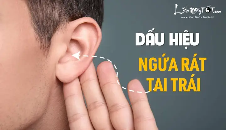 Hiện Tượng Ngứa Tai Trái Báo Hiệu Tin Vui Tài Lộc Sắp Gõ Cửa Hiện Tượng Ngứa Tai Trái Báo Hiệu Tin Vui Tài Lộc Sắp Gõ Cửa