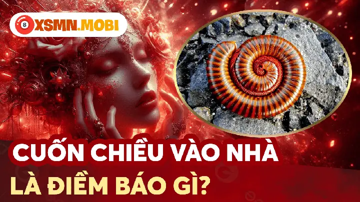Cuốn Chiếu Bò Vào Nhà Đánh Con Gì Để Phát Tài?