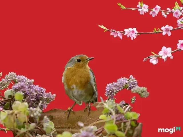 Dấu Hiệu Thực Tế Cho Thấy Nhà Bạn Đang Là Nơi Ẩn Náu Của Sâu Bọ