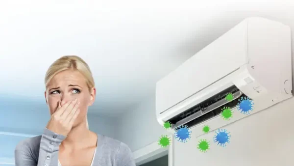 Giải Mã Sâu Bò Vào Nhà Là Điềm Báo Gì? Hung Cát Ra Sao Và Cách Xử Lý Hiệu Quả