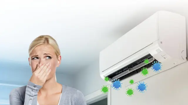 Giải Mã Sâu Bò Vào Nhà Là Điềm Báo Gì? Hung Cát Ra Sao Và Cách Xử Lý Hiệu Quả