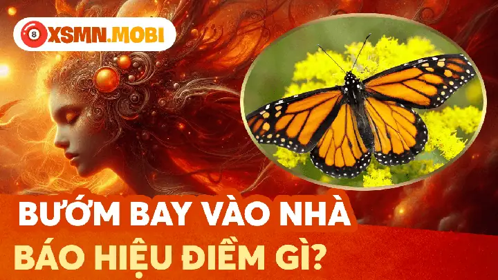Bướm Bay Vào Nhà Là Điềm Tốt Hay Xấu?