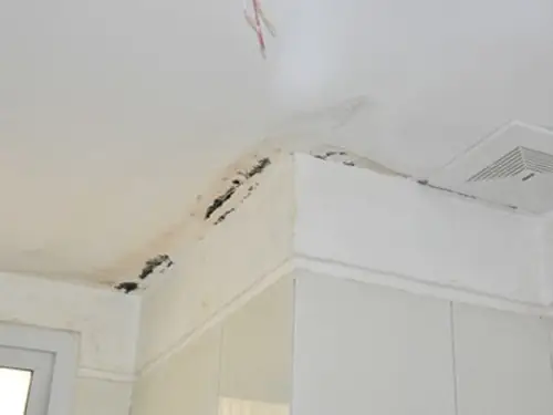 Nhà Đột Ngột Bị Dột Nước Là Dấu Hiệu Phong Thủy Suy Yếu Ra Sao? Nhà Đột Ngột Bị Dột Nước Là Dấu Hiệu Phong Thủy Suy Yếu Ra Sao?