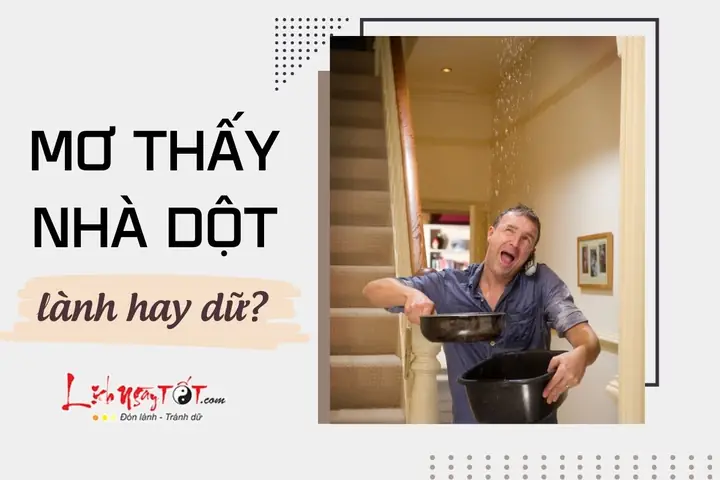 Hiện Tượng Nhà Bị Dột Biểu Thị Sự Suy Giảm Năng Lượng Phong Thủy Hiện Tượng Nhà Bị Dột Biểu Thị Sự Suy Giảm Năng Lượng Phong Thủy