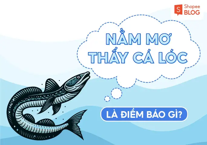 Làm Thế Nào Để Phân Biệt Nhanh Các Từ Vựng Chỉ Sự Báo Trước Trong Tiếng Anh? Làm Thế Nào Để Phân Biệt Nhanh Các Từ Vựng Chỉ Sự Báo Trước Trong Tiếng Anh?