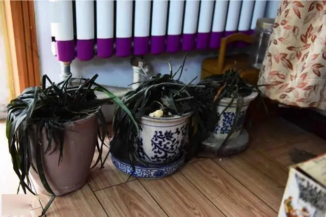 Làm Thế Nào Để Phân Biệt Sự Trùng Hợp Ngẫu Nhiên Và Điềm Báo Phong Thủy Thực Sự? Làm Thế Nào Để Phân Biệt Sự Trùng Hợp Ngẫu Nhiên Và Điềm Báo Phong Thủy Thực Sự?