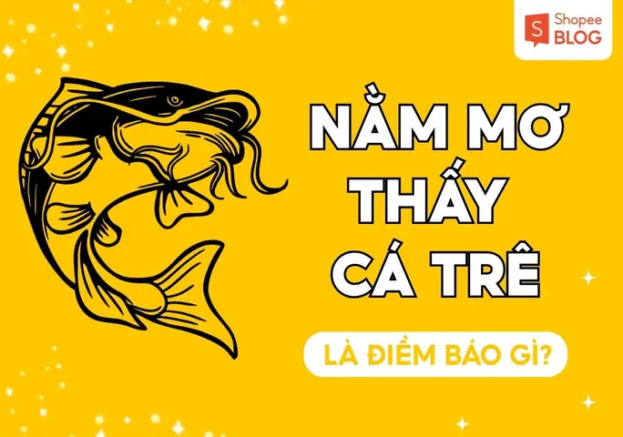 Điềm Lành Là Gì? Giải Mã Ý Nghĩa Và Các Dấu Hiệu Nhận Biết Trong Đời Sống