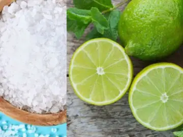 Ý Nghĩa Về Mặt Sức Khỏe Và Năng Lượng Gia Đình Ý Nghĩa Về Mặt Sức Khỏe Và Năng Lượng Gia Đình