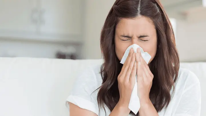 Phản Xạ Hắt Xì Hơi Tự Nhiên Giúp Cơ Thể Loại Bỏ Tác Nhân Kích Thích Đường Mũi Phản Xạ Hắt Xì Hơi Tự Nhiên Giúp Cơ Thể Loại Bỏ Tác Nhân Kích Thích Đường Mũi
