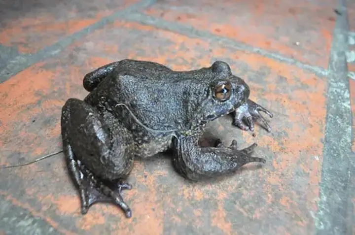 Những Điều Kiêng Kỵ Và Cách Hóa Giải Tâm Lý Lo Âu Trong Dân Gian