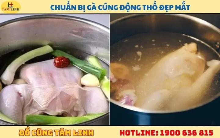 Gà Cỗ Cúng Động Thổ: Ý Nghĩa, Cách Chọn Lễ Vật Và Hướng Dẫn Nghi Lễ Chuẩn Phong Thủy Gà Cỗ Cúng Động Thổ: Ý Nghĩa, Cách Chọn Lễ Vật Và Hướng Dẫn Nghi Lễ Chuẩn Phong Thủy