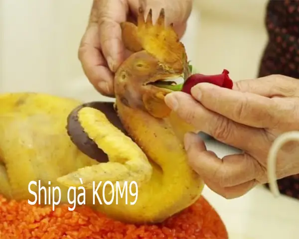 Dịch Vụ Đặt Mua Gà Cúng Luộc Sẵn Ship Tận Nơi Ở Hà Nội Nhanh Chóng, Uy Tín Dịch Vụ Đặt Mua Gà Cúng Luộc Sẵn Ship Tận Nơi Ở Hà Nội Nhanh Chóng, Uy Tín