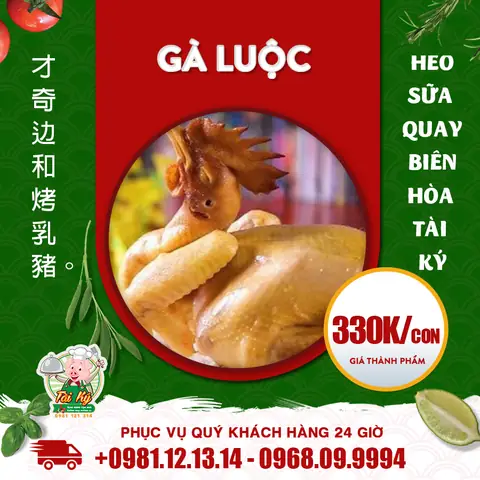 Gà Cúng Ngon Tân Kỳ Tân Quý: Top Địa Chỉ Mua Sẵn Uy Tín, Giao Nhanh Năm 2026 Gà Cúng Ngon Tân Kỳ Tân Quý: Top Địa Chỉ Mua Sẵn Uy Tín, Giao Nhanh Năm 2026