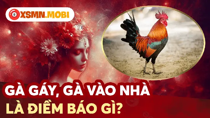 Giải Mã Ý Nghĩa Theo Màu Lông Của Con Gà Vào Nhà Giải Mã Ý Nghĩa Theo Màu Lông Của Con Gà Vào Nhà