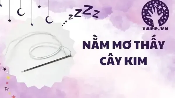 Gãy Kim Khâu Là Điềm Báo Gì? Giải Mã Ý Nghĩa Tốt Xấu Theo Quan Niệm Dân Gian