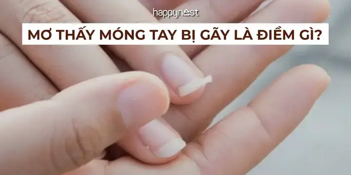 Các Vật Phẩm Bằng Ngọc Nứt Vỡ Giúp Hấp Thụ Năng Lượng Tiêu Cực