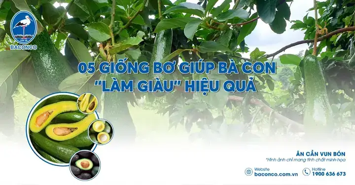Những Yếu Tố Sinh Học Và Tâm Lý Nào Tạo Nên Ảo Ảnh "giấc Mơ Ngược"? Những Yếu Tố Sinh Học Và Tâm Lý Nào Tạo Nên Ảo Ảnh "giấc Mơ Ngược"?