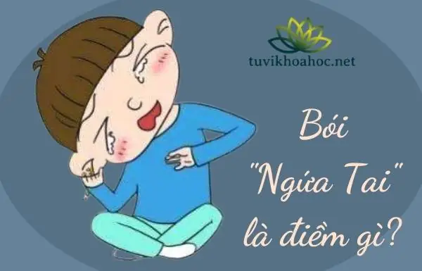 Giải Mã Điềm Báo: Nhận Biết Điềm Lành, Điềm Dữ Và Ý Nghĩa Tâm Linh Trong Dân Gian Giải Mã Điềm Báo: Nhận Biết Điềm Lành, Điềm Dữ Và Ý Nghĩa Tâm Linh Trong Dân Gian