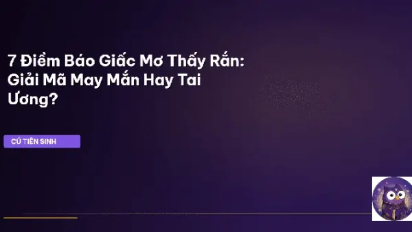Giải Mã Điềm Báo Giấc Mơ: Tra Cứu Ý Nghĩa Chiêm Bao Và Con Số May Mắn Thường Gặp