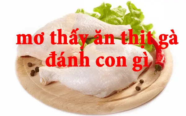 Mơ Thấy Ăn Cơm Thịt Gà Đánh Đề Con Gì, Số Mấy Dễ Trúng? Mơ Thấy Ăn Cơm Thịt Gà Đánh Đề Con Gì, Số Mấy Dễ Trúng?