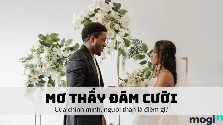 Giấc Mơ Này Phản Ánh Điều Gì Về Tâm Lý Và Tình Cảm Hiện Tại Của Bạn?