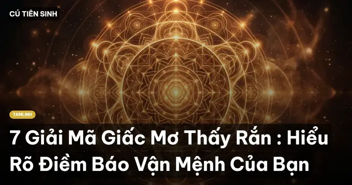 Điềm Báo Khi Mơ Thấy 3 Con Rắn Quấn Vào Nhau Hoặc Cắn Nhau Điềm Báo Khi Mơ Thấy 3 Con Rắn Quấn Vào Nhau Hoặc Cắn Nhau