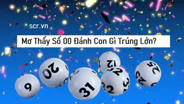 Giải Mã Giấc Mơ Bắt Được Chim Công Mang Lại Điềm Gì Và Đánh Con Gì May Mắn?