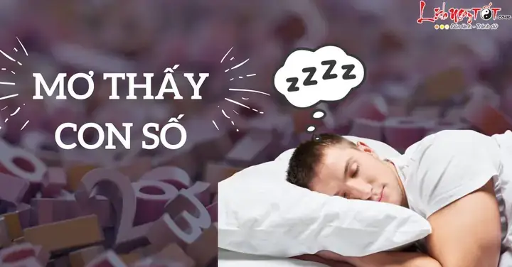 Giấc Mơ Chiêm Bao Là Gì Và Nguyên Nhân Khoa Học Lẫn Tâm Linh Hình Thành Giấc Mơ?