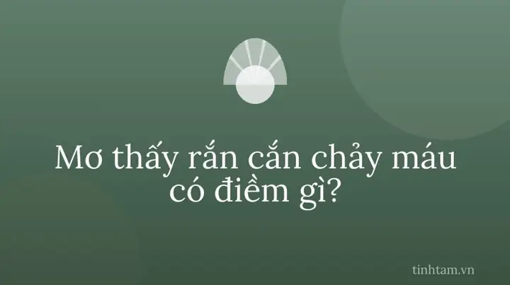 Nguyên Nhân Khoa Học Và Tâm Lý Học Đằng Sau Giấc Mơ Bị Cắn Chảy Máu Nguyên Nhân Khoa Học Và Tâm Lý Học Đằng Sau Giấc Mơ Bị Cắn Chảy Máu