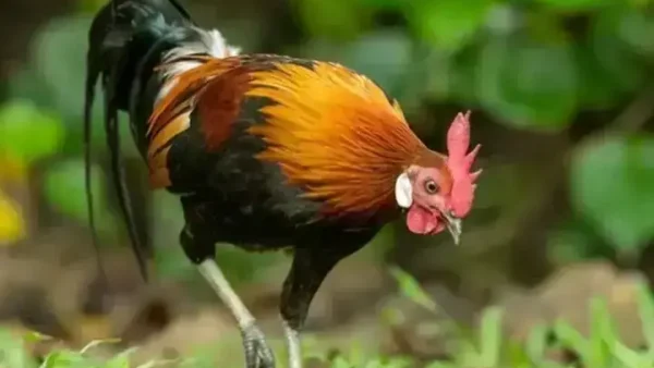 Giải Mã Giấc Mơ Bị Côn Trùng Cắn Chảy Máu: Điềm Báo Tốt Hay Xấu Và Ý Nghĩa Tâm Linh Năm 2027