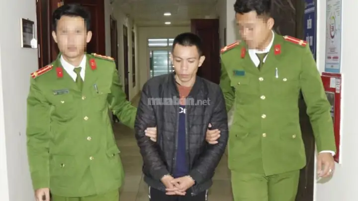 Chuyên Gia Tâm Lý Hỗ Trợ Giải Tỏa Áp Lực Và Lo Âu