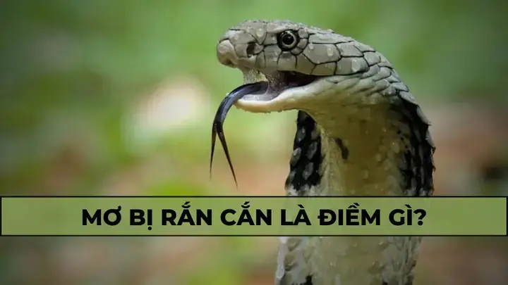 Những Thay Đổi Cần Thực Hiện Trong Đời Thực Để Giải Tỏa Áp Lực Những Thay Đổi Cần Thực Hiện Trong Đời Thực Để Giải Tỏa Áp Lực