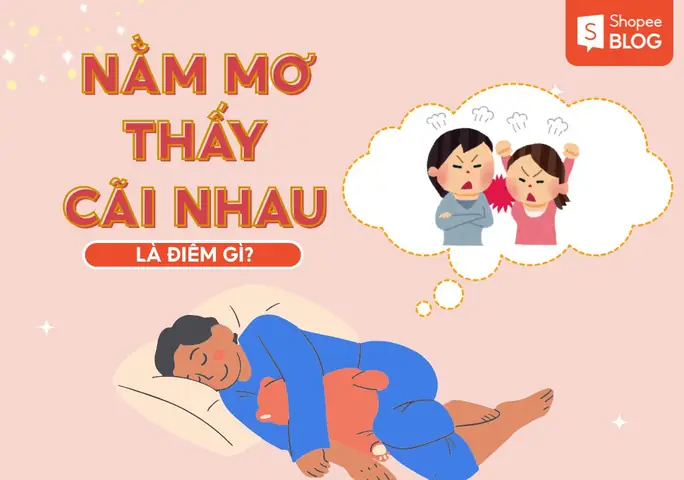 Hình Ảnh Minh Họa Cho Các Tình Huống Cãi Vã Trong Giấc Mơ