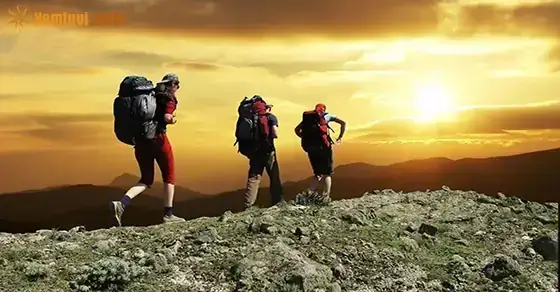 Nguyên Nhân Sâu Xa Và Các Yếu Tố Tâm Lý Nào Dẫn Đến Giấc Mơ Đạp Xe Leo Dốc? Nguyên Nhân Sâu Xa Và Các Yếu Tố Tâm Lý Nào Dẫn Đến Giấc Mơ Đạp Xe Leo Dốc?