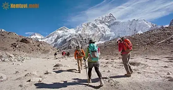 Khi Nào Bạn Nên Tìm Kiếm Sự Hỗ Trợ Chuyên Môn Về Tâm Lý? Khi Nào Bạn Nên Tìm Kiếm Sự Hỗ Trợ Chuyên Môn Về Tâm Lý?